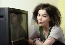 Bjork Reflects on Television.&nbsp;(Culture)