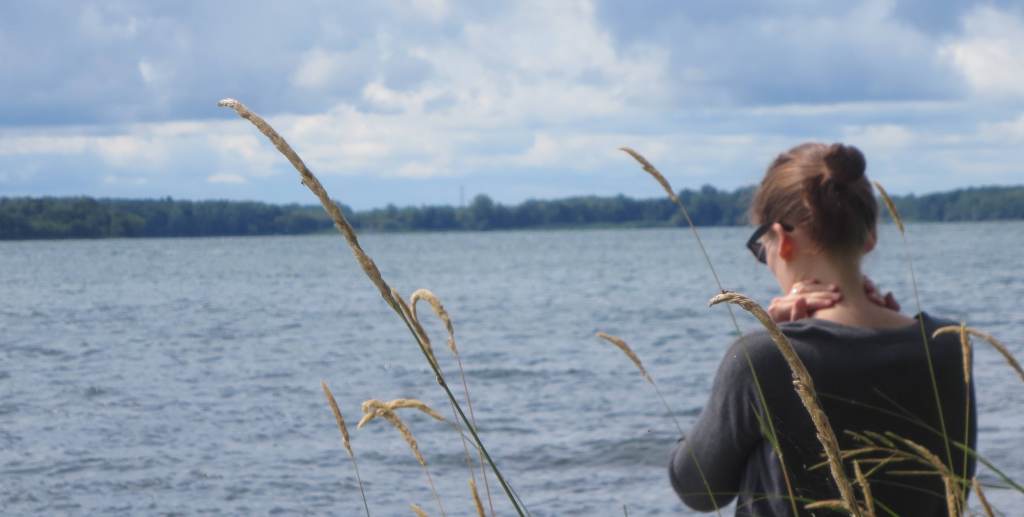 The Last Few Weeks of the Summer of 2017: Final Observations Catalogue. (Personal&nbsp;Essay)